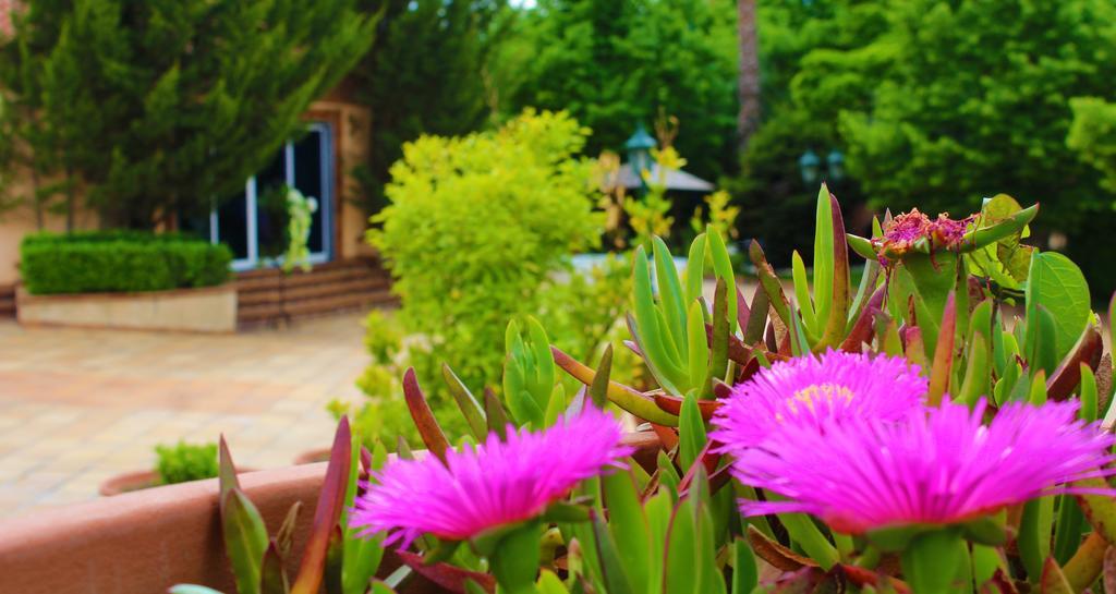 Alambique - Hotel Resort & Spa Fundão Екстериор снимка